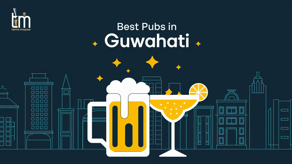 best pubs in Guwahati - Terra Mayaa